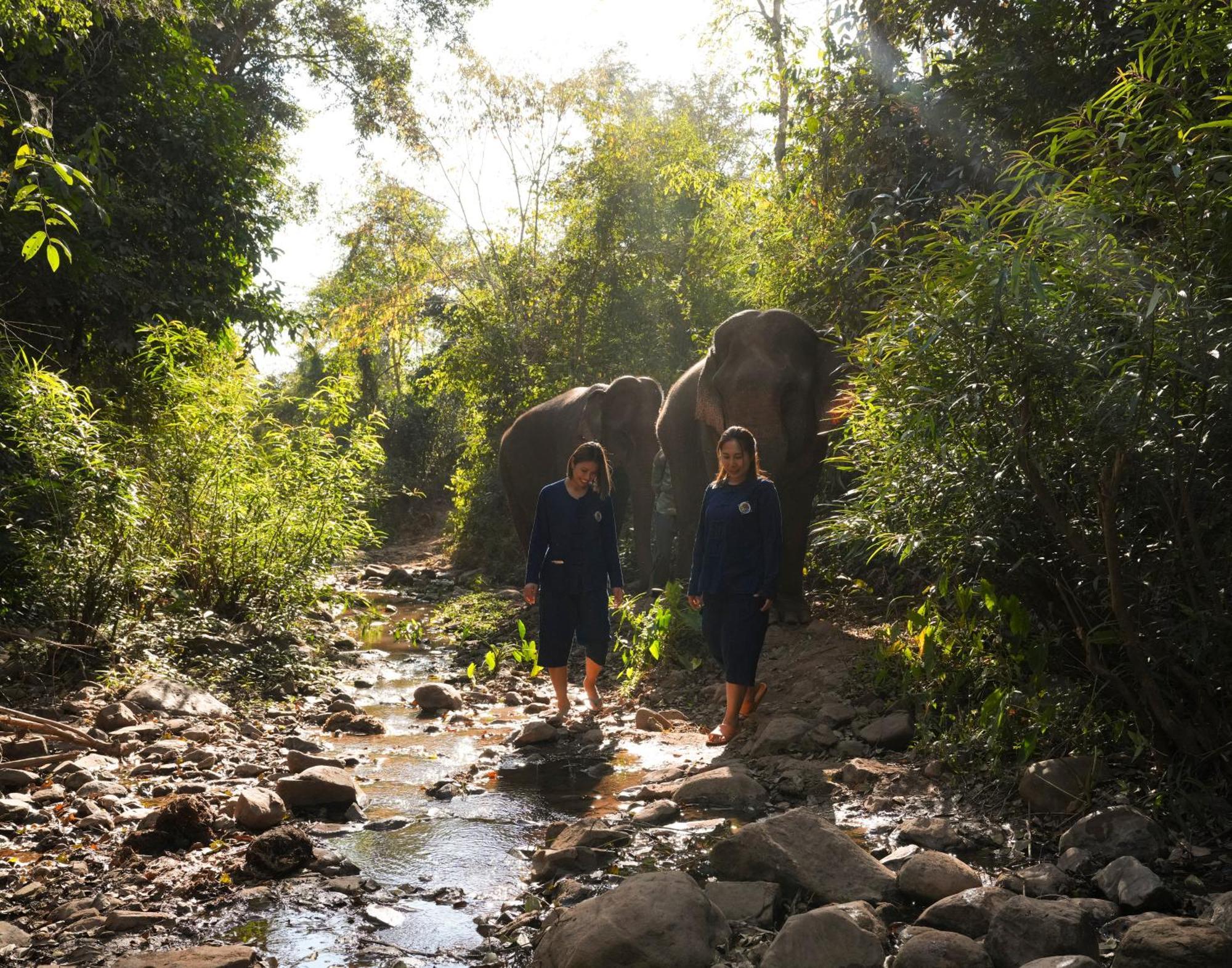 La Residence Phou Vao Luang Prabang Ngoại thất bức ảnh